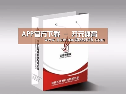 项目名称十三