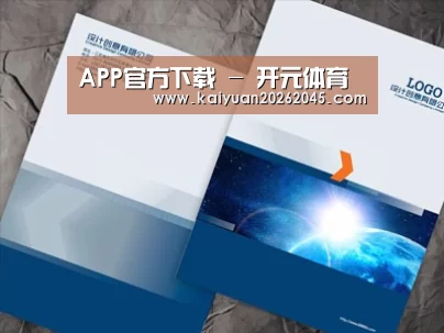 项目名称十