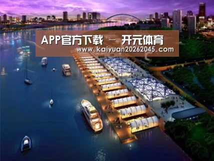 案例展示八