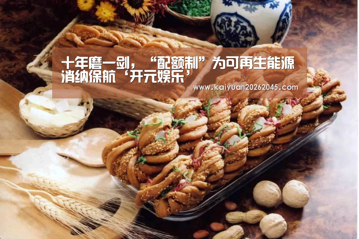 十年磨一剑,“配额制”为可再生能源消纳保航‘开元娱乐’(图2) 开元体育