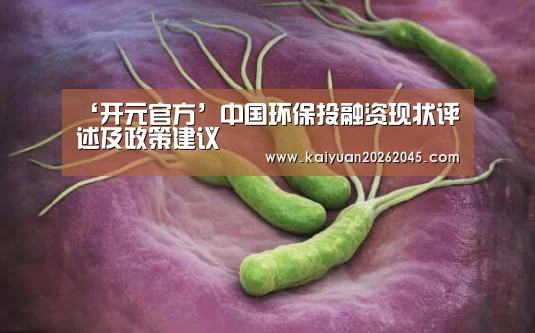 ‘开元官方’中国环保投融资现状评述及政策建议(图3) 开元体育