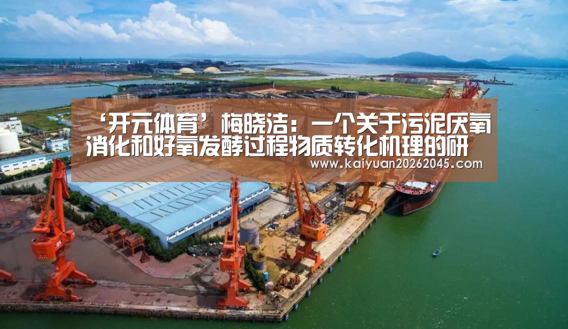 ‘开元体育’梅晓洁:一个关于污泥厌氧消化和好氧发酵过程物质转化机理的研究(图2) 开元体育