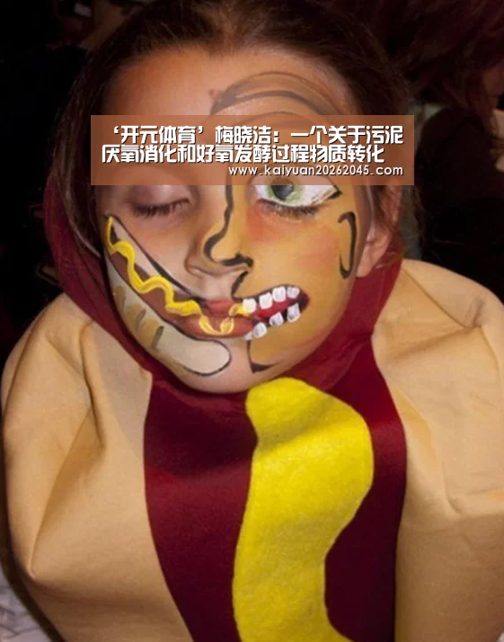 ‘开元体育’梅晓洁:一个关于污泥厌氧消化和好氧发酵过程物质转化机理的研究(图4) 开元官方